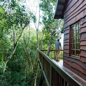  MyTravelution | Moon Shine on Whiskey - Tree Frog Forest Cabin Facilities