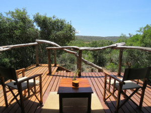  MyTravelution | Woodbury Tented Camp Facilities