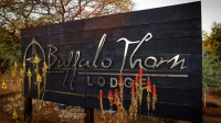  MyTravelution | Buffalo Thorn Safari Lodge Food