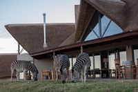  MyTravelution | J-Bay Zebra Lodge Food