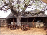  MyTravelution | Kwamahla Lodge Lobby