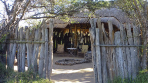  MyTravelution | Quatermain's Safari Camp Lobby