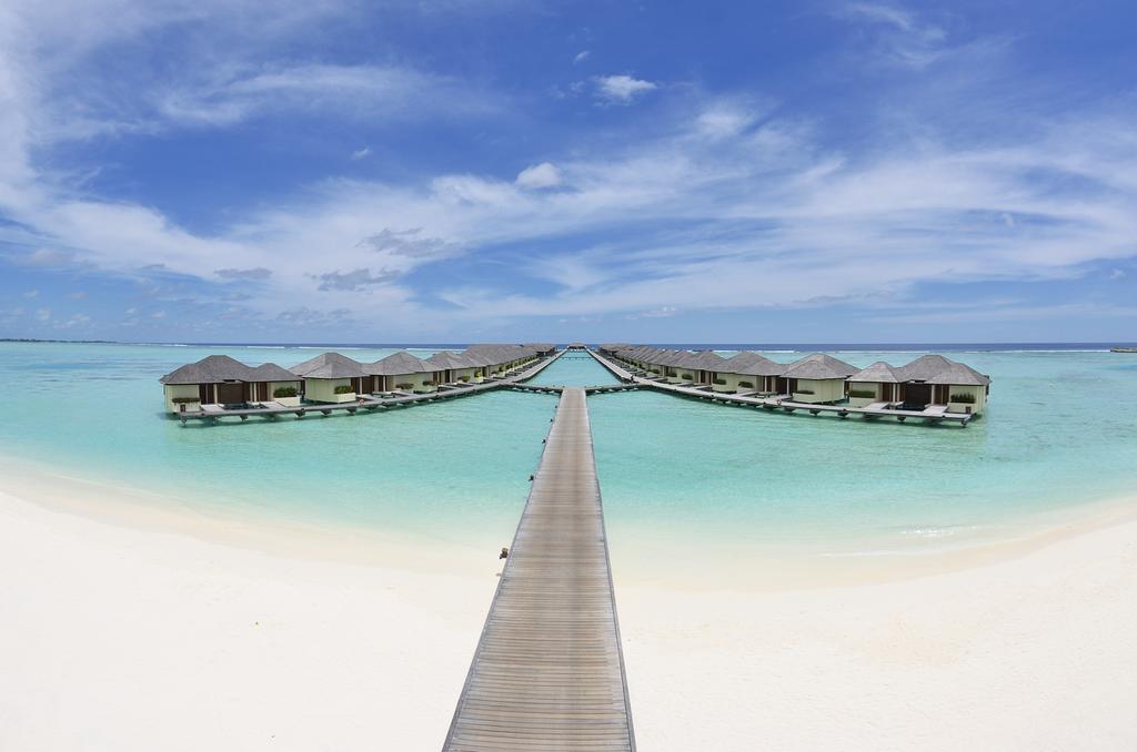 MyTravelution - Paradise Island Resort