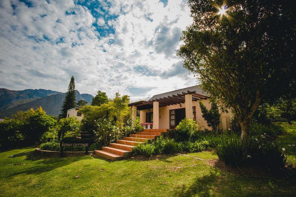 MyTravelution - Wildebraam Berry Estate