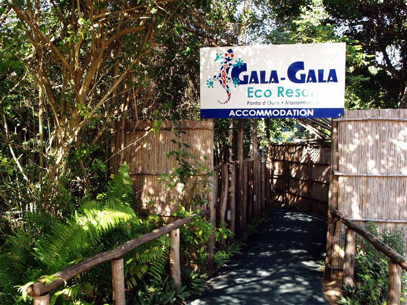 My Travelution - Travel Club - Gala Gala Eco Resort