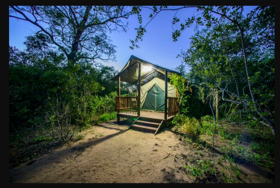 MyTravelution - Shalati Safari Camp