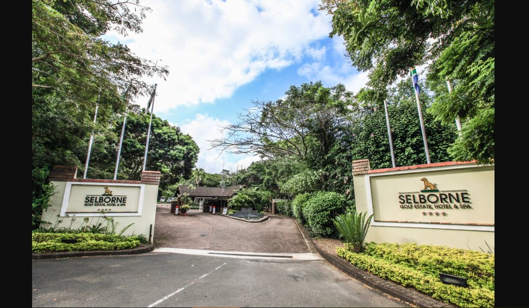 MyTravelution - Little Green Sunbird - Selborne Luxury Villas