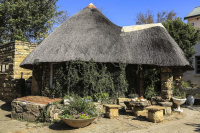  MyTravelution | The Green Acorn Guest House Main