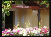  MyTravelution | Ora Resort Angels Bay Main