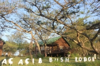  MyTravelution | Acacia Bush Lodge Main