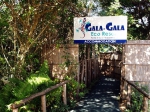  MyTravelution | Gala Gala Eco Resort Main