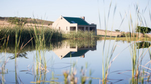  MyTravelution | Kwetu Guest Farm - Steenbok Cottage Main