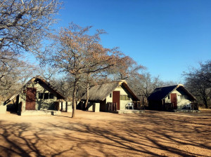  MyTravelution | Wild Dogs Safari Lodge Main