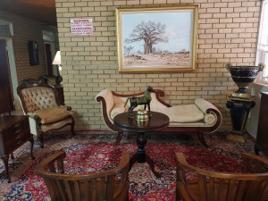 MyTravelution | Mountain View Country Estate- Parys Main