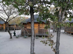  MyTravelution | Mokoka Rest Camp Main