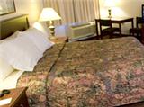  MyTravelution | AmericInn Hotel & Suites Mounds View Room