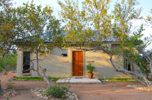  MyTravelution | The Baobab Bush Lodge Room