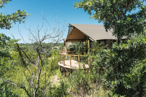  MyTravelution | Mdluli Safari Lodge Room