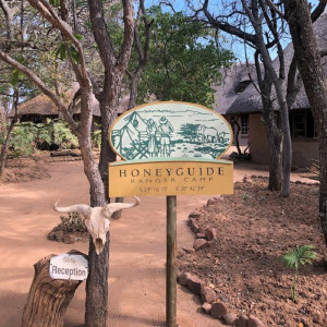  MyTravelution | Honeyguide Ranger Camp Room