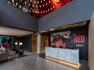  MyTravelution | Radisson RED Hotel Johannesburg Rosebank Room